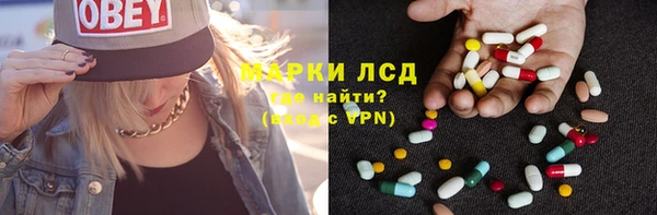 стаф Усмань