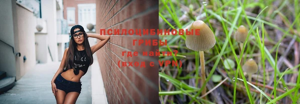 mdma Няндома