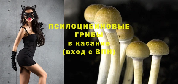 стаф Усмань