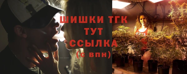 гидропоника Нязепетровск