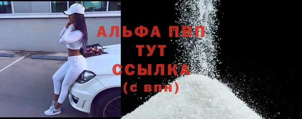 стаф Усмань