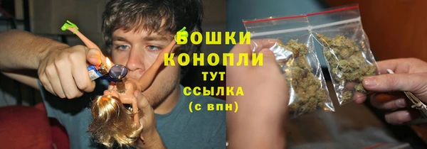 гидропоника Нязепетровск