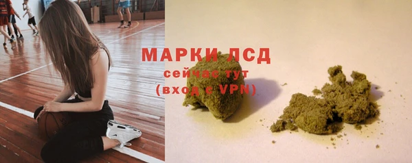 стаф Усмань