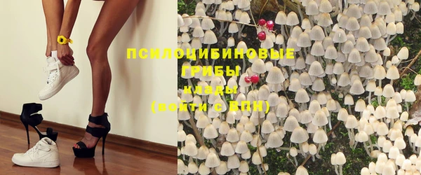 mdma Няндома