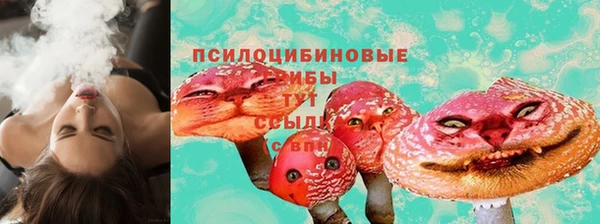 стафф Усолье-Сибирское