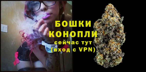 ALPHA-PVP Новозыбков