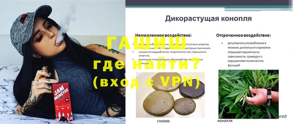 стафф Усолье-Сибирское
