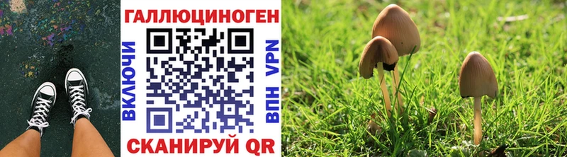 Галлюциногенные грибы Magic Shrooms  наркотики  Алдан 
